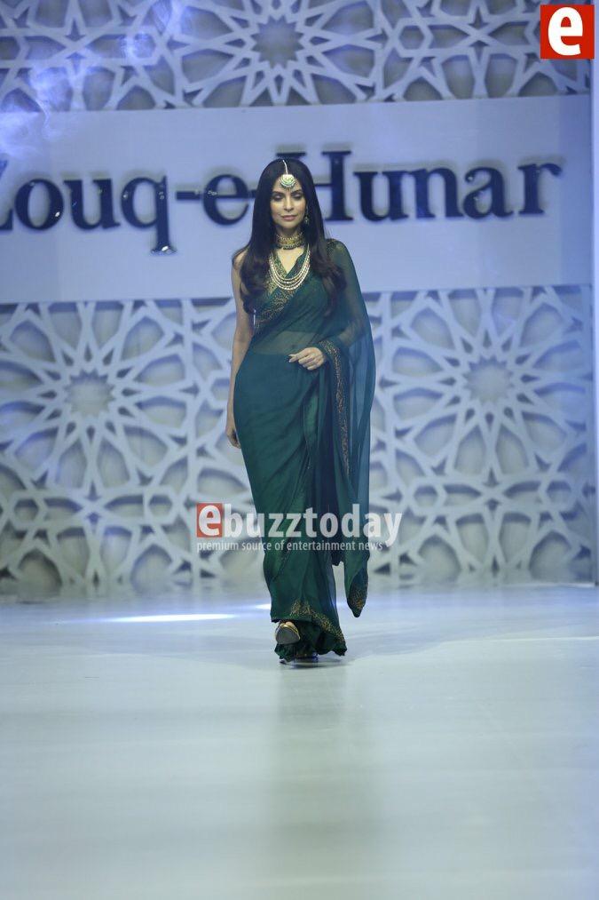 Jehanara - Saree